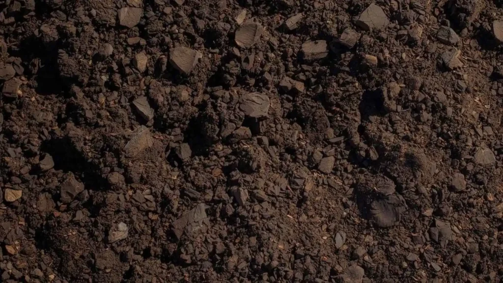 Clean Weeding Puns for Gardeners