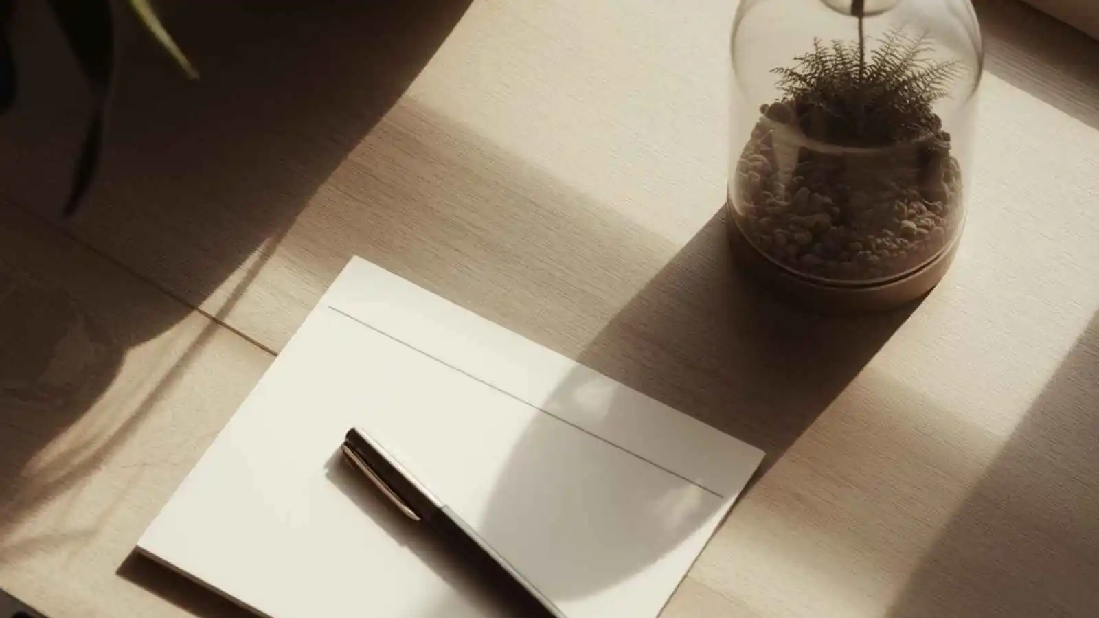 Blank notepad and pen beside a terrarium silhouette in soft light.