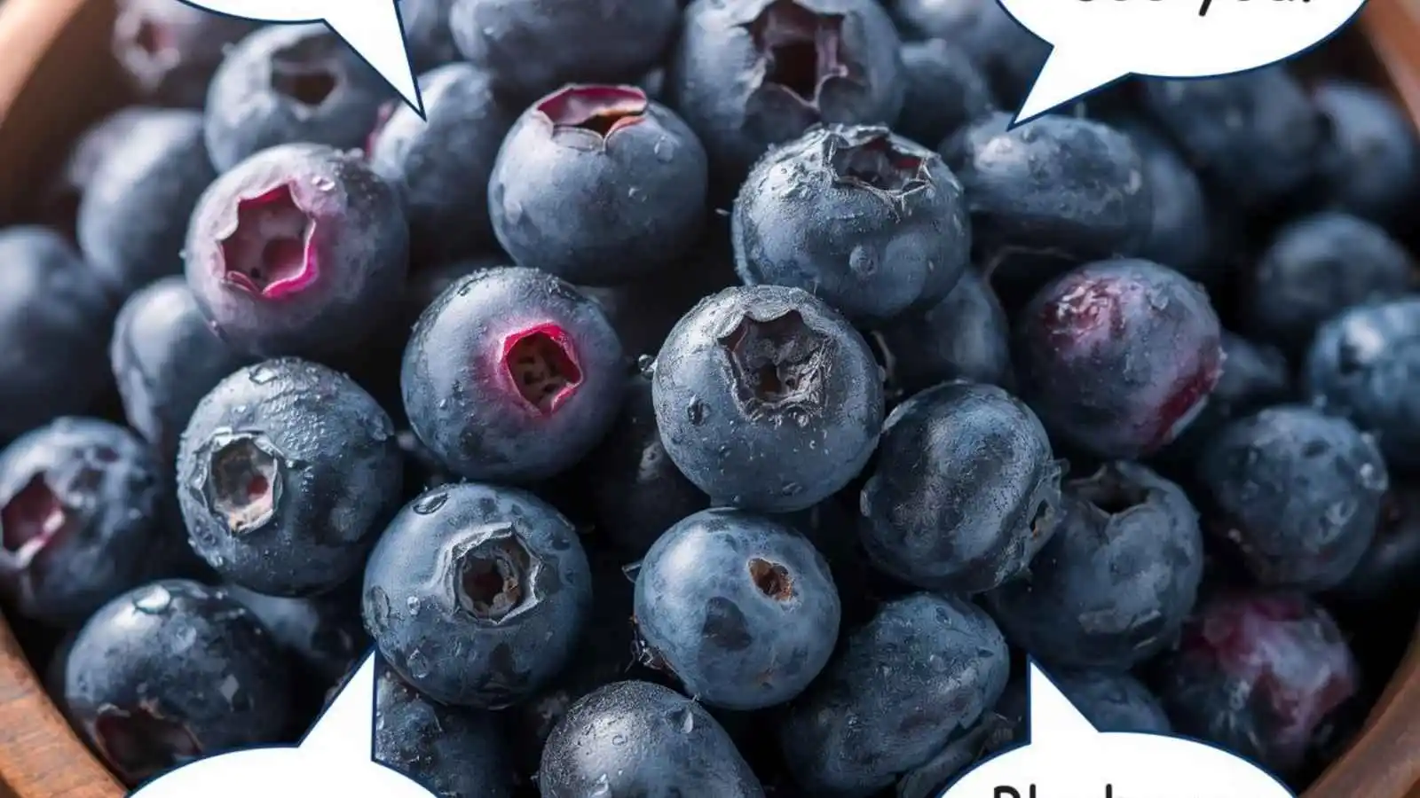 Fresh juicy blueberries in a bowl with hilarious original puns floating in speech bubbles.